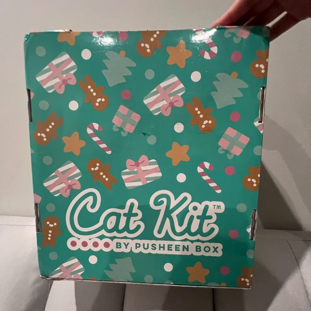 Pusheen cute christmas
